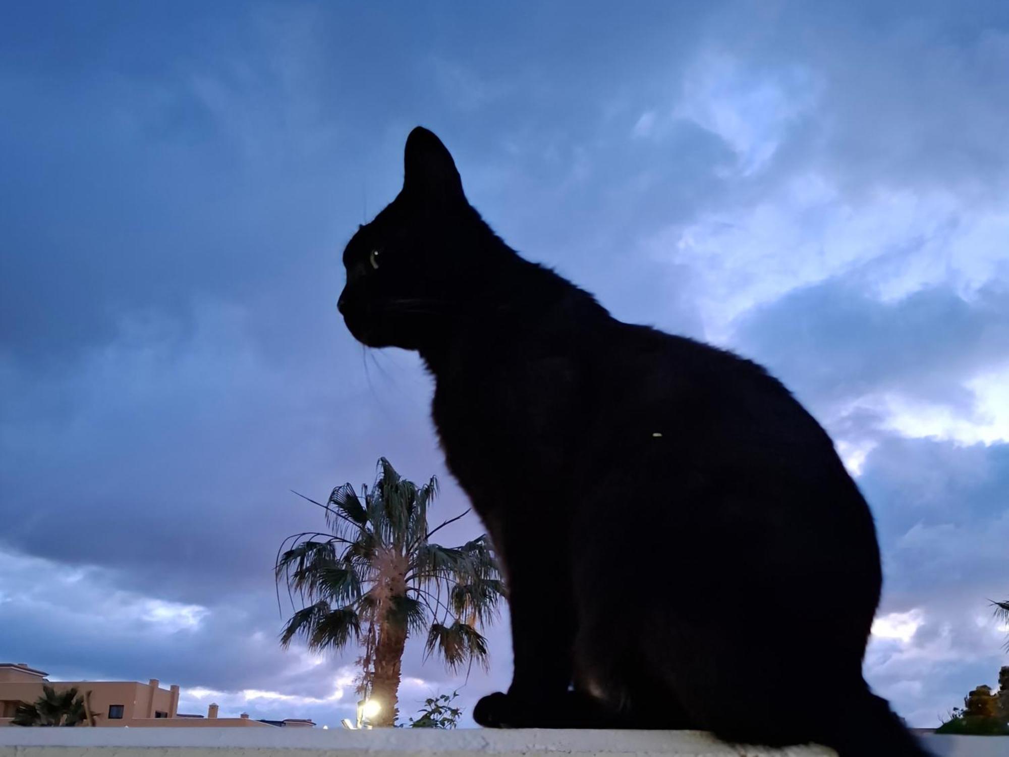 Habitacion Doble Con Bano Y Terraza Privada El Médano Eksteriør bilde